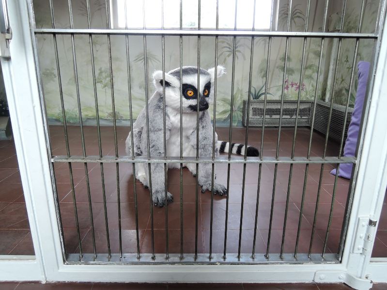 Eltham Palace - Mah Jonggs Quarters Eltham Palace - Mah Jonggs Quarters