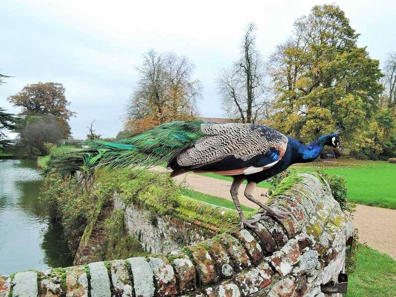 Witchfinder General Tour Kentwell Hall Long Melford Witchfinder General Tour Kentwell Hall Long Melford