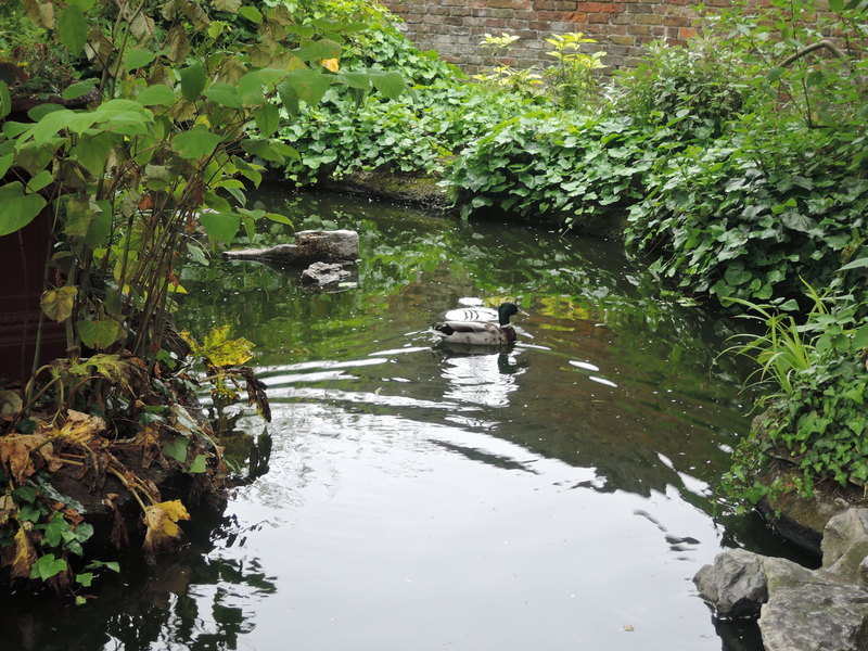 Roof Garden English Woodland Garden Roof Garden English Woodland Garden