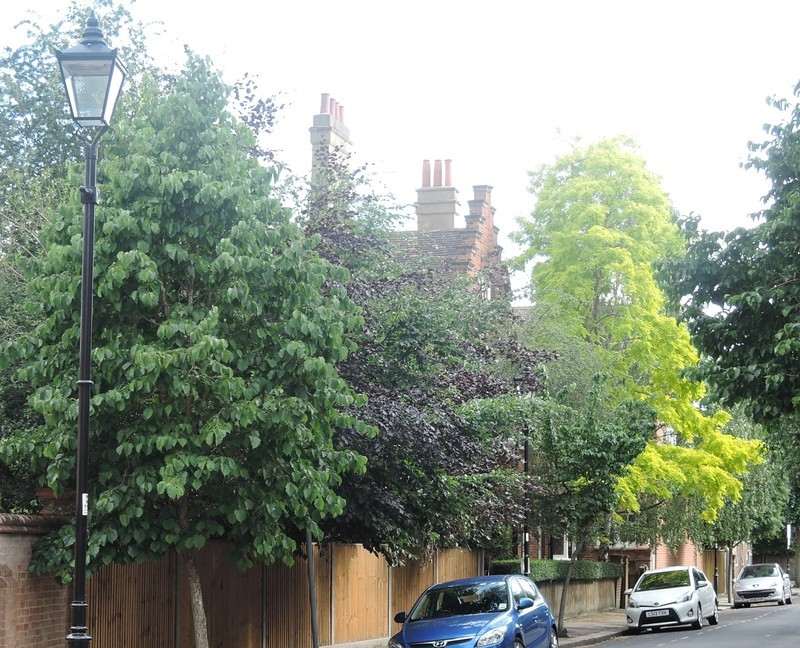 Bedford Park Bedford Park