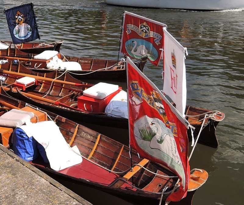 Swan Upping on the River Thames - Skiffs Swan Upping on the River Thames - Skiffs
