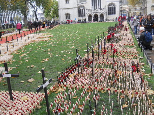 Field of Remembrance Field of Remembrance