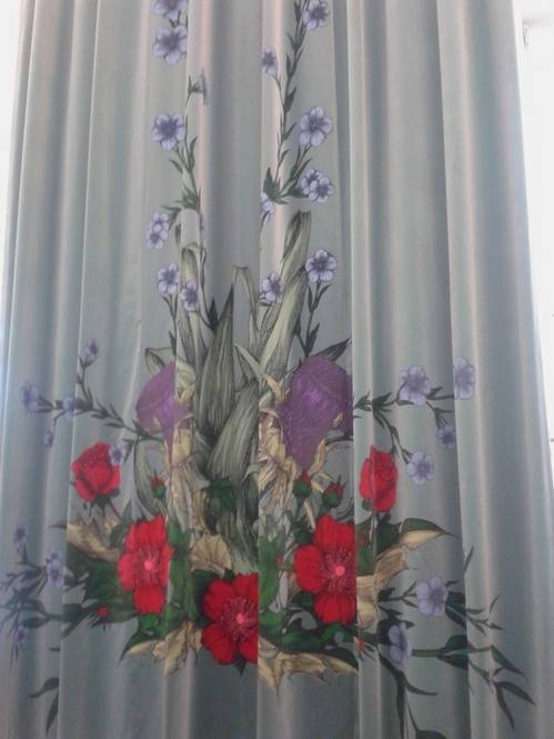 Supreme Court Supreme Court