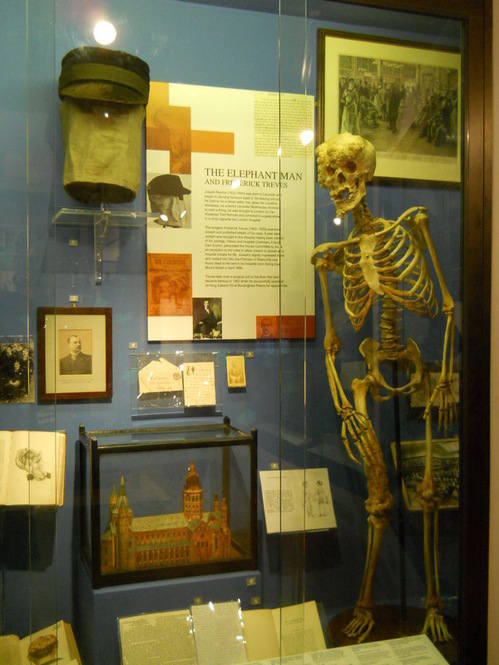 Royal London Hospital Museum Royal London Hospital Museum