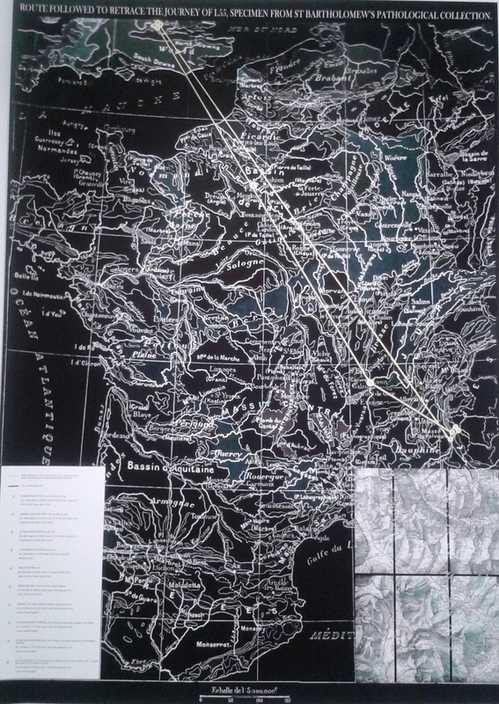 GV Art - 1.55 by Anaïs Tondeur GV Art - 1.55 by Anaïs Tondeur