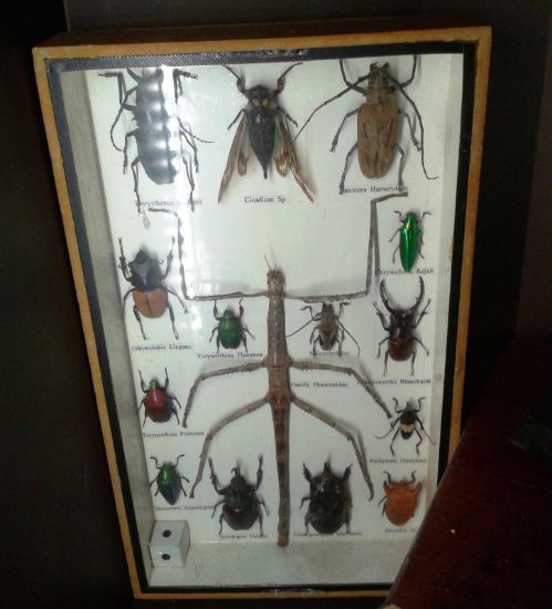 John Lewis - Stories of a Shopkeeper John Lewis - Stories of a Shopkeeper