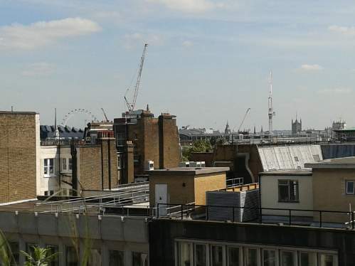 John Lewis - Roof Garden John Lewis - Roof Garden