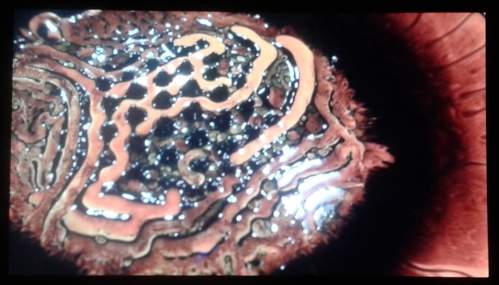 Future Human at GV Art - Fe Labyrinthine by William Skelton and Robbie Anso Future Human at GV Art - Fe Labyrinthine by William Skelton and Robbie Anso