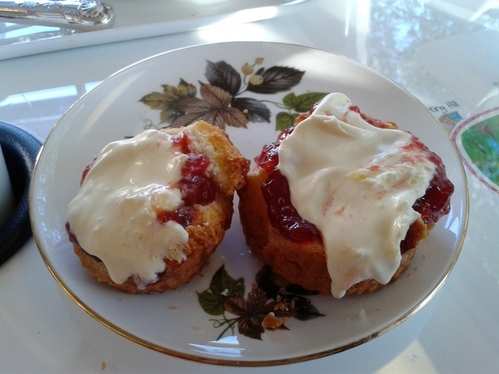 Scones at BB Bakery Afternoon Tea Bus Scones at BB Bakery Afternoon Tea Bus