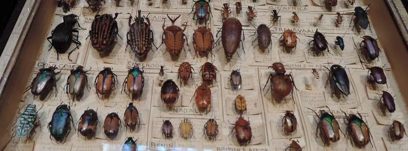 Two Temple Place Two Temple Place